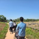 트리플란트치과의원 이미지