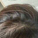 피오리다 이미지
