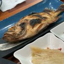 3광수산 | 미아사거리 횟집 - [광수산] 내돈내산 후기 <대방어 + 광어> 🐟