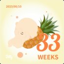 신비세탁 이미지