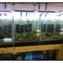 킹콩아쿠아 이미지