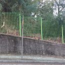 금정농장 이미지