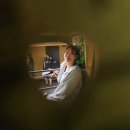 크로스핏 코알라 | 호주 8박 10일 | DAY5 in 멜버른 : 퍼핑빌리, 필립아일랜드 투어