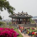 [2025년 5월 경기도 축제 추천 (수원 화성문화제, 안성 바우덕이 축제, 양평 산나물 축제)]