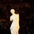 비너스(VENUS)