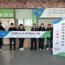 경기양돈 이미지