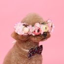 293사진관 이미지