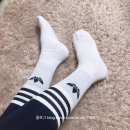 솔리드필라테스