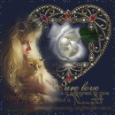 장미한복 이미지