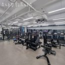 소나무 휘트니스 이미지