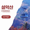 신흥사 | 단풍명소 설악산 단풍 절정 신흥사 케이블카 등산 코스 실시간 후기