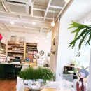 롯데마트 앞 사거리 이미지