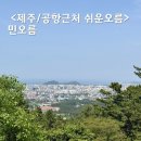 제주 민오름 제주시내 가볍게 오르는 공항근처 오름