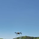 티지코리아 이미지