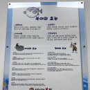 바다복집 | [사천/삼천포] 해장의 끝판왕! 바다복집 참복지리 후기