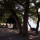 초전 마을회관 이미지