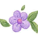 풀빌라 아드리아 이미지