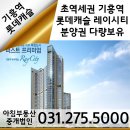 기흥역 롯데캐슬 레이시티 이미지