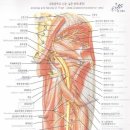 염기룡한의원 이미지