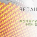 Applied Materials Korea_Security & Risk Management Specialist 모집 이미지