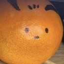 썬앤문 PC방 | 불붙었을 때 열심히 써야지