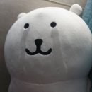 꽃사세요 꽃 | [오늘의 추천] 외로운 입냄새여 이제는 안녕 킬파이어 구취 꽃가글 후기