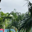 인터미디어라이프 | IHG 다이아몬드 갱신 및 인터컨티넨탈 파타야 리조트 스위트룸