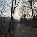 자연휴양림 입구 | 서울근교 힐링 숙소 찾는다면? 가평 유명산 자연휴양림 숙박 후기