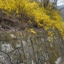 남산평기리 이미지