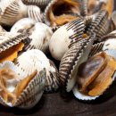 옐로우마켓 이미지