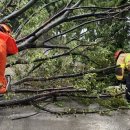 하천섬(주차장) 이미지