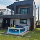 용이랑 백호랑 이미지