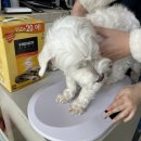 설악동물병원 이미지