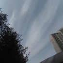 쑝쑝돈까스 - 남구 옥현로 65 | 쑝쑝돈까스