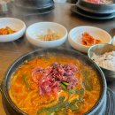 짬뽕국밥 | 묵호 비비소 한우육회짬뽕국밥 찐 솔직후기