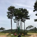 영광군 농어촌체험휴양마을협의회 팸투어