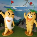 삼동축산 이미지