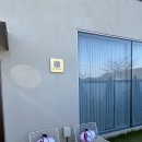 어니언 스테이 이미지