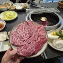 판문동7 | 진주 한우 맛집 룸 식당 판문동 한우소리 다녀왔어요