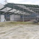 장연면사무소 이미지