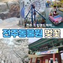 CU전북대중앙점 | 전주 동물원 드림랜드 벚꽃 구경 아이와 가볼만한 곳 (4월 방문 후기)