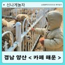 양산 카페 해운, 동물먹이주기체험, 양산 아이와 갈만한 곳 추천
