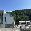 서정목장 | 거제 양떼목장 숲소리공원 아이들과 가기 좋은 놀거리 추천