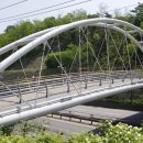 나비야놀자박물관 이미지