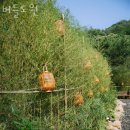 KT춘천지사(KT춘천빌딩) | 춘천펜션 버들도원 당일치기여행