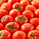 토마토 이미지