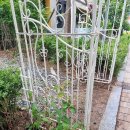 강남센트럴어린이집