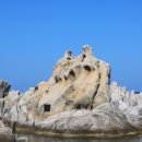 새동해바다 이미지