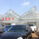 성연농장 이미지