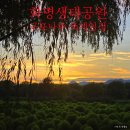 꽃나루공원화장실 | 댑싸리 정원 배롱나무꽃 제12회 낙동강 구포나루 축제가 열릴 9월의 화명생태공원을 걷다.(행사 일정 및...